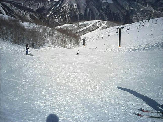 d9813628.jpeg