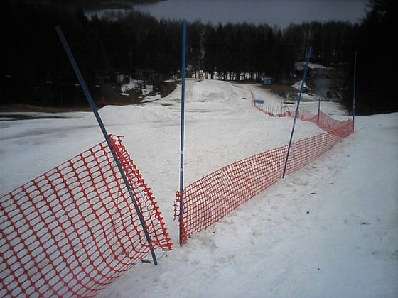 01987631.jpeg