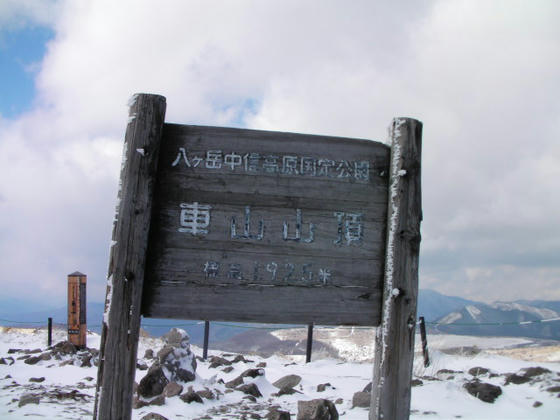 風雪に耐えている看板。端には海老の尻尾が成長中。