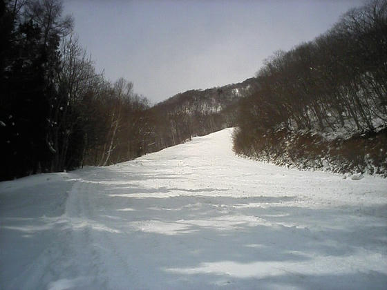 9：57　第8リフトが架かっていた廃コース。登り跡と滑走跡が無数に付いていた。