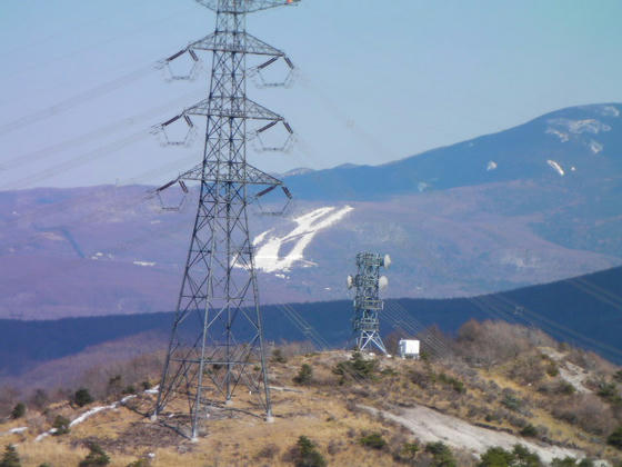 白樺高原国際