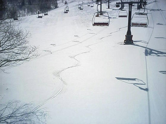 9：21　4月に新雪が滑れるとは！