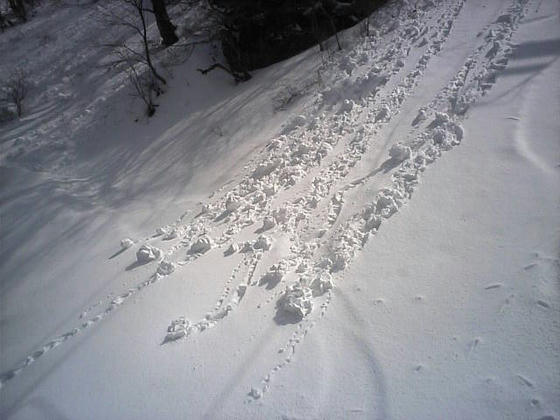 雪が崩れれば雪崩か???