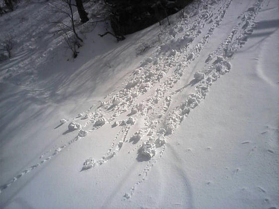 雪が崩れれば雪崩か？？？