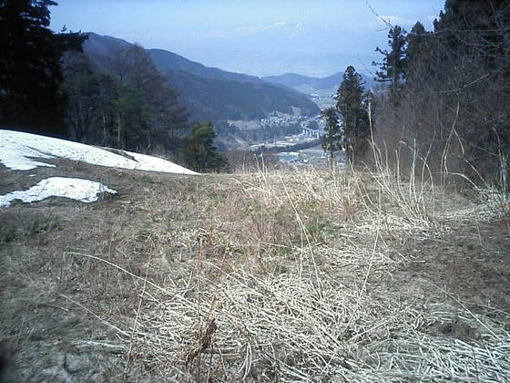 現役当時の滑り出し位置あたり　こんな風景でスタートしていたようだ
