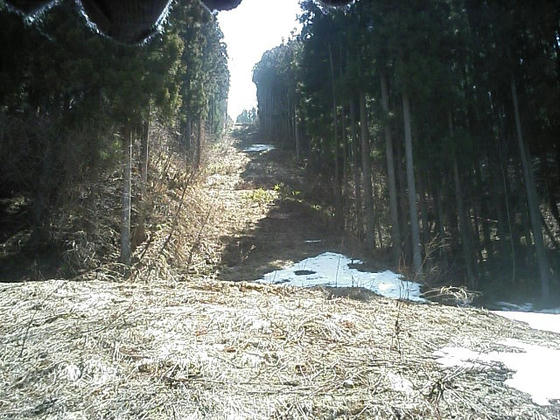 中間降り場から索道跡の線上に立って