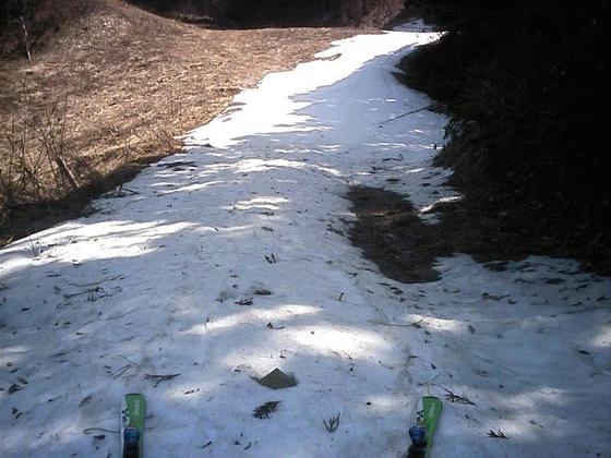 滑れた部分　　ここでかもしかと遭遇している