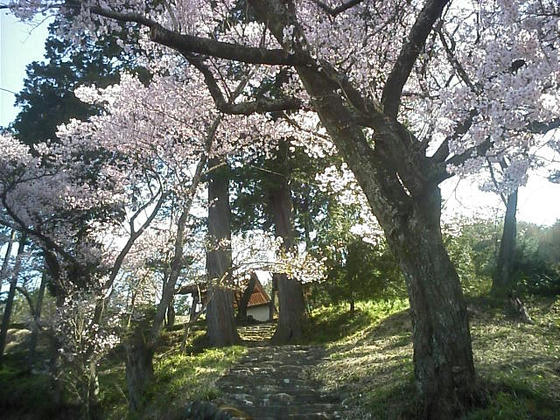 菩提寺の山門方向