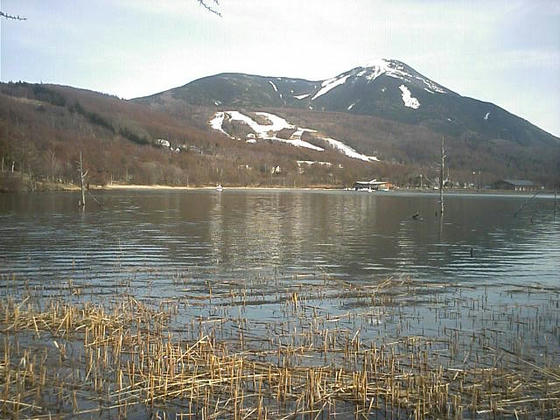 女神湖越しに見る白樺高原国際と蓼科山
