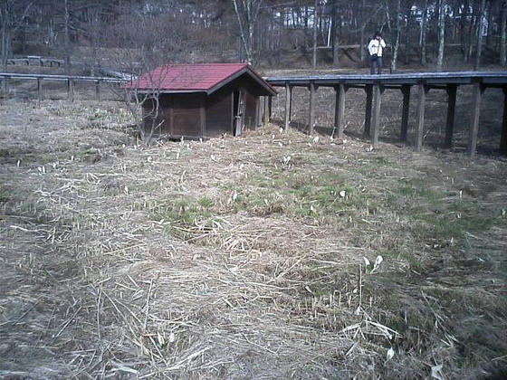 湿原には遊歩道があったが高すぎて小さな植物は良く見えないかも＾＾；