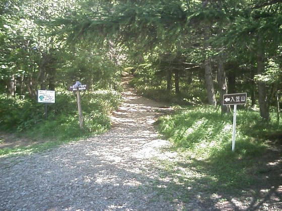 登山道入り口　13：50頃登坂開始