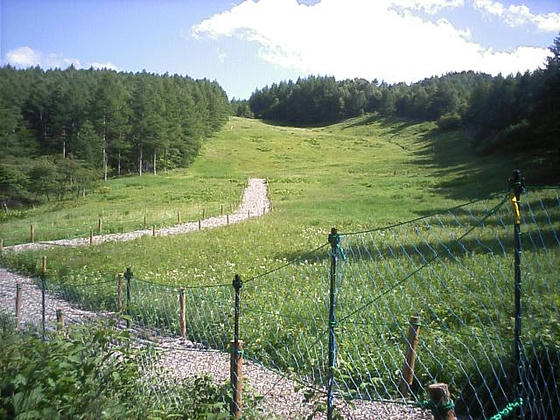 入笠スキー場跡地全景