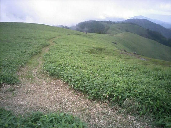 11：20頃登坂開始　稜線へ出ると和田峠方向との分岐があった(画面奥和田峠)　11：25