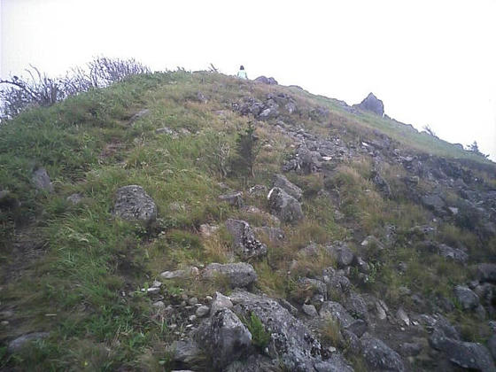 11：41　扉峠方向へ降りた所から山頂部を臨む。こちら側は岩の露出が多い、というか岩場？