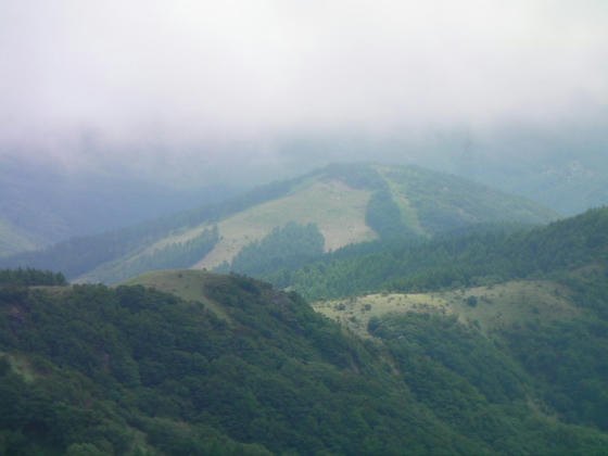 和田峠スキー場跡地