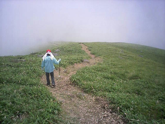 こんな感じのササ原の中の登山道です。樹林帯がないので開放感は抜群