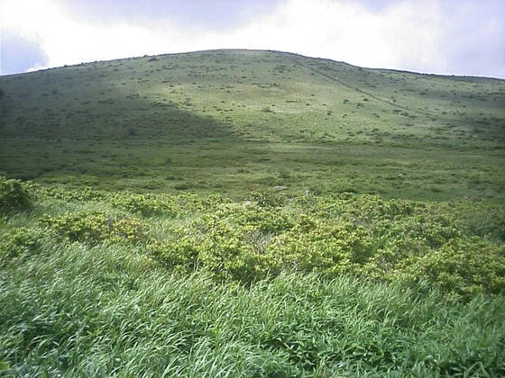 14：50　車山湿原と蝶々深山