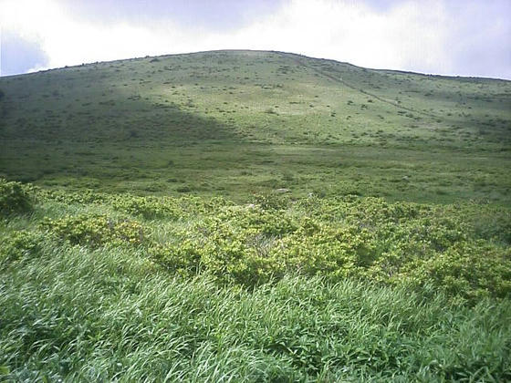 14:50 車山湿原と蝶々深山