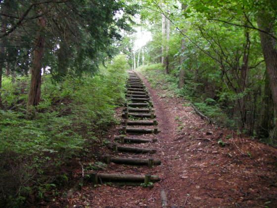 14：06　鞍部からの登り返し。階段状の登山道はかえって不便でした。