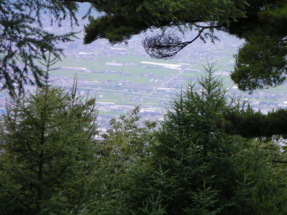 14：18　自宅方向を樹の枝の隙間から確認し下山開始