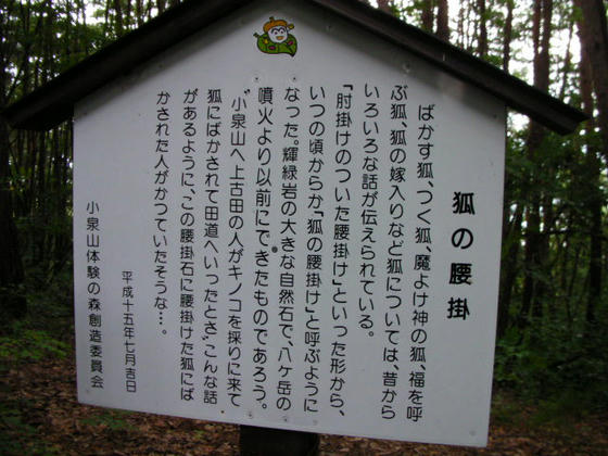 このルートは樹木がうっそうと茂り暗くてシャッタースピードは１桁の5とか6でしたが手振れ防止が効いてくれたようです