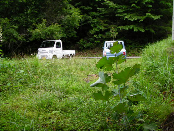 11：04　下山完了。車が増えていました