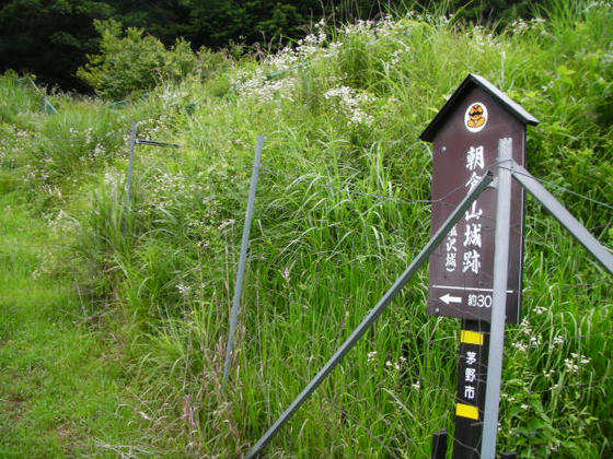 11：13　裏登山道入り口ですが、鹿除けの金属網があり踏み跡も少ない感じでした