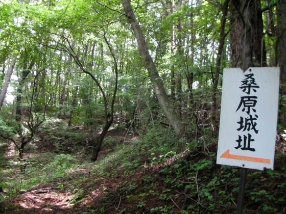 10：49　不安になってきましたが、案内図があり山頂へは行けるようです