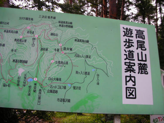 つつじで有名な鶴峰公園から適当に上がってきたら正解でした