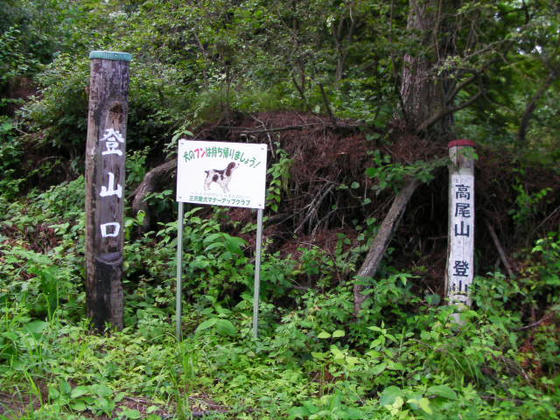 15:07 登山口 登行開始