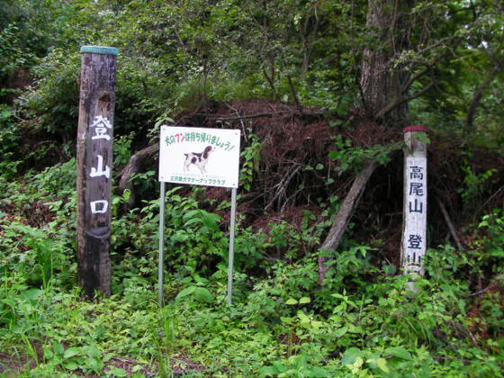 15：07　登山口　登行開始