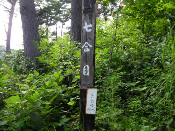 15：15　七合目　一から九合目まで道標があり親切です。登山道以外の作業道のような道も何度かクロスしました