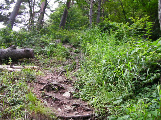 15：17　里山とは思えない岩・石の露出した登山道