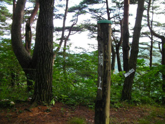 15：20　山頂到達　樹間方向は伊那谷