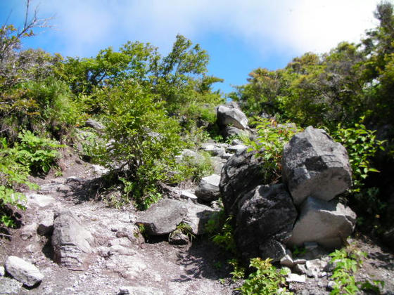 9：24　第1ピークまではこんな感じの登山道で今までの里山とはちょっと様子が違います