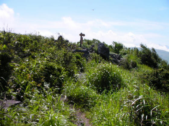 和田峠側から見た山頂部