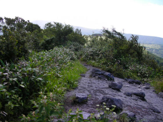 10：06　しばらく雲の取れるのを待ちましたがダメっぽいので下山します