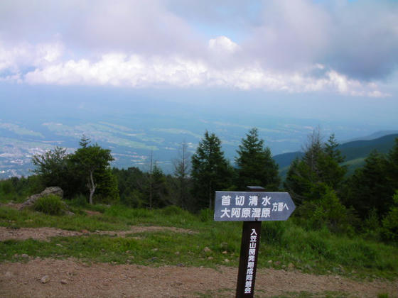 14:29 展望が無いので下山します