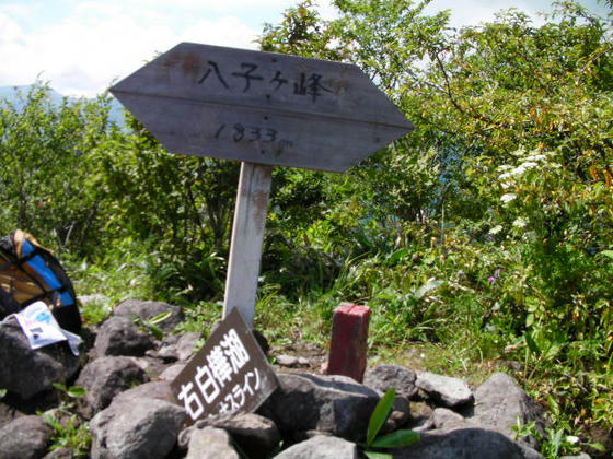 14：03　八子ｹ峰西峰到達！