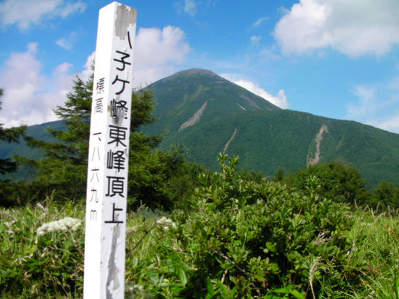 14：30　八子ｹ峰東峰(1869ｍ)到達！蓼科山もお出迎え～