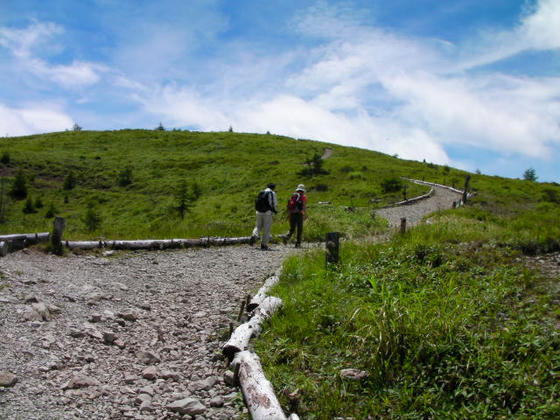 11：45　廃山荘から上はこんな感じの散策路が山頂まで続きます