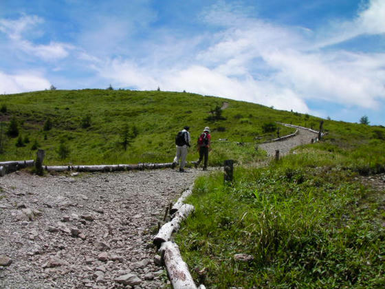 11:45 廃山荘から上はこんな感じの散策路が山頂まで続きます