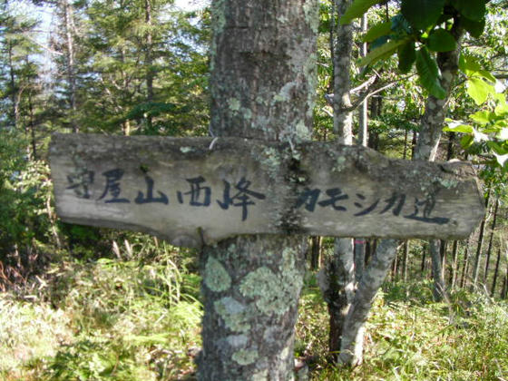 稜線上のルートですがカモシカ道と呼ぶようです