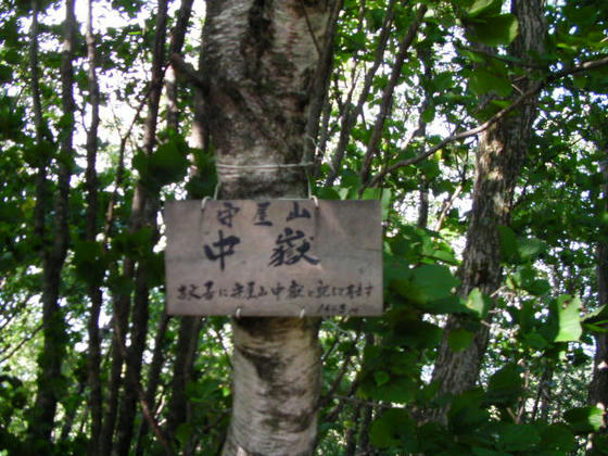 14:58 途中の小ピーク 守屋山中嶽1643m 東峰より12m高かったりします(笑)