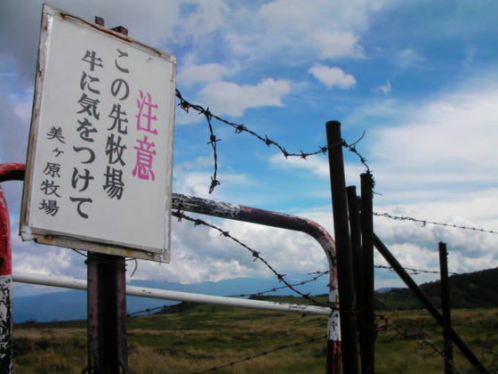 14：22　登山道は牧草地の中を通っています。「牛に気をつけて」と書かれても…