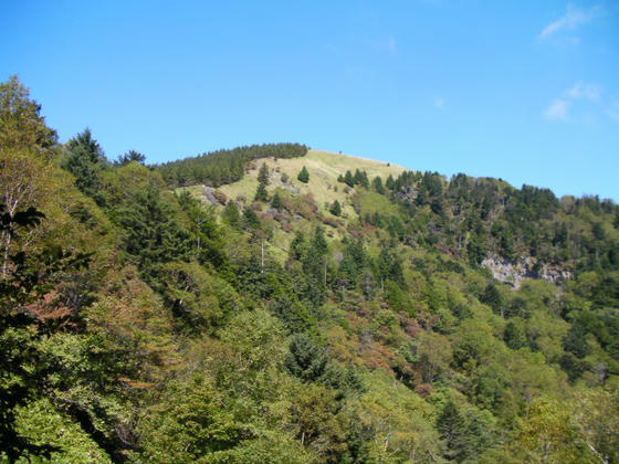 10：52　樹林帯を抜けると山頂が見えました。稜線の東側は草地、西側は樹林帯とくっきり分かれています