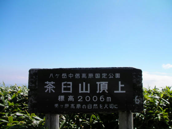 11：08　山頂2006m到達です。標準行程では90分となっていましたが、50分で来れたようです