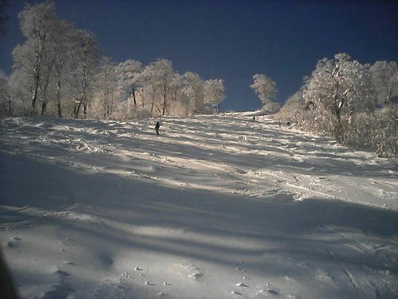 9：26　やまびこBの上半分は不整地で、一見コブに見えますが柔らかな粉雪で滑りやすかったです