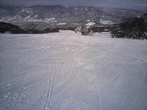 10：33　パラダイスG　こちらも緩斜面の広大なゲレンデです。脇パウにも入りましたが斜度が無いのでTOPを浮かせて真直ぐ滑るだけのつまらない脇パウ遊びになりました。ここも内足外エッジの練習に良いですorz