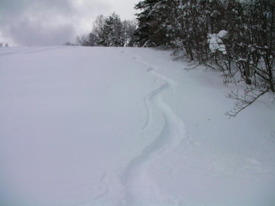 12：36　ご馳走様でした。これで膝下くらいまで潜ってます。太腿まで雪が付着してました